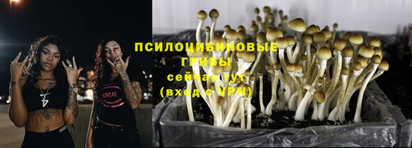 дурь Алзамай