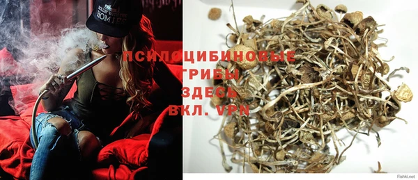 дурь Алзамай