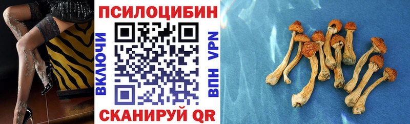 что такое наркотик  Чёрмоз  Галлюциногенные грибы мухоморы 